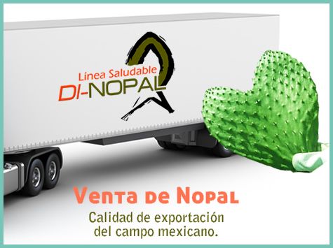 Venta y exportación de nopal