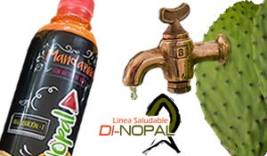 Bebida de nopal con mandarina