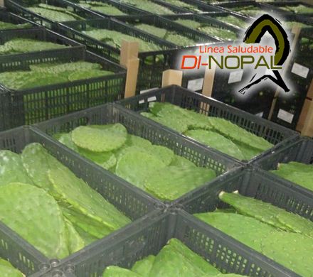 Nopal entero sin pelar