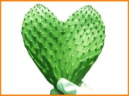 Nopal corazón