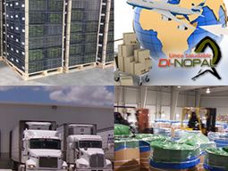 Exportación de nopal