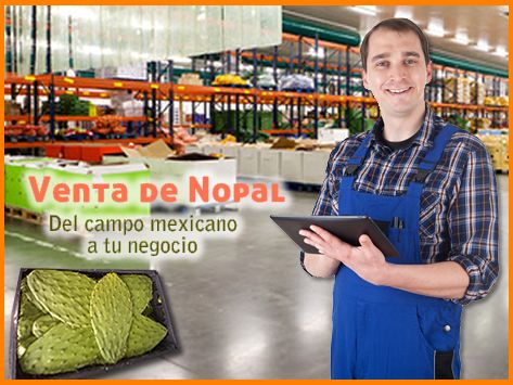 Venta de nopal central de abasto